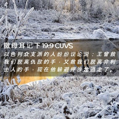 Picture 02 - 撒 母 耳 记 下 19:9 CUVS - 以 色 列 众 支 派 的 人 纷 纷 议 论 - Bible Verse Picture
