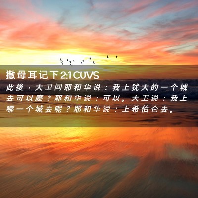 Picture 02 - 撒 母 耳 记 下 2:1 CUVS - 此 後 ， 大 卫 问 耶 和 华 说 ： 我 - Bible Verse Picture