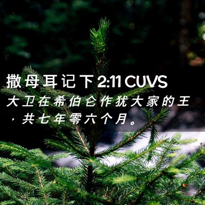 Picture 02 - 撒 母 耳 记 下 2:11 CUVS - 大 卫 在 希 伯 仑 作 犹 大 家 的 王 - Bible Verse Picture