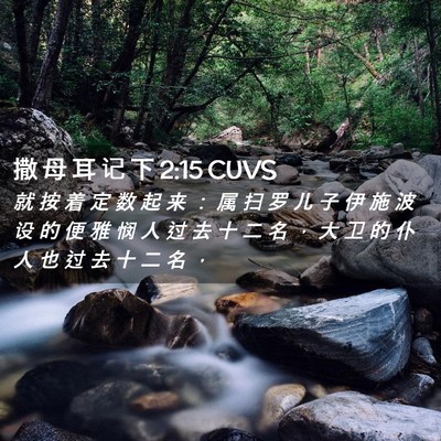 Picture 02 - 撒 母 耳 记 下 2:15 CUVS - 就 按 着 定 数 起 来 ： 属 扫 罗 儿 - Bible Verse Picture