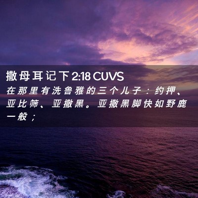 Picture 02 - 撒 母 耳 记 下 2:18 CUVS - 在 那 里 有 洗 鲁 雅 的 三 个 儿 子 - Bible Verse Picture
