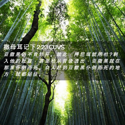 Picture 02 - 撒 母 耳 记 下 2:23 CUVS - 亚 撒 黑 仍 不 肯 转 开 。 故 此 ， - Bible Verse Picture