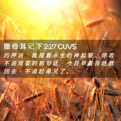 Picture 02 - 撒 母 耳 记 下 2:27 CUVS - 约 押 说 ： 我 指 着 永 生 的 神 起 - Bible Verse Picture