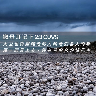 Picture 02 - 撒 母 耳 记 下 2:3 CUVS - 大 卫 也 将 跟 随 他 的 人 和 他 们 - Bible Verse Picture