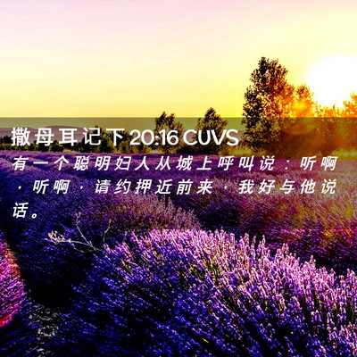 Picture 02 - 撒 母 耳 记 下 20:16 CUVS - 有 一 个 聪 明 妇 人 从 城 上 呼 叫 - Bible Verse Picture