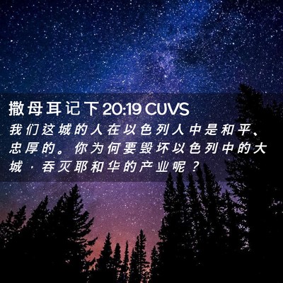 Picture 02 - 撒 母 耳 记 下 20:19 CUVS - 我 们 这 城 的 人 在 以 色 列 人 中 - Bible Verse Picture