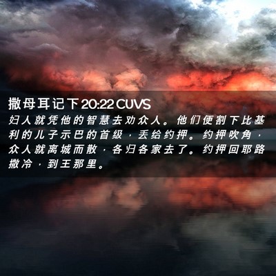 Picture 02 - 撒 母 耳 记 下 20:22 CUVS - 妇 人 就 凭 他 的 智 慧 去 劝 众 人 - Bible Verse Picture