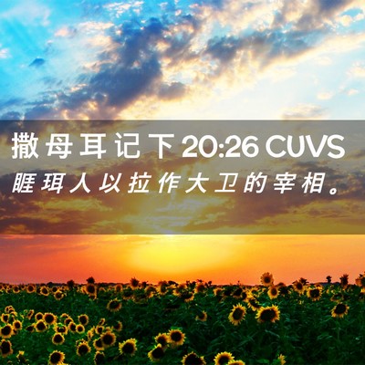 Picture 02 - 撒 母 耳 记 下 20:26 CUVS - 睚 珥 人 以 拉 作 大 卫 的 宰 相 - Bible Verse Picture