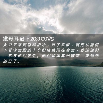 Picture 02 - 撒 母 耳 记 下 20:3 CUVS - 大 卫 王 来 到 耶 路 撒 冷 ， 进 了 - Bible Verse Picture