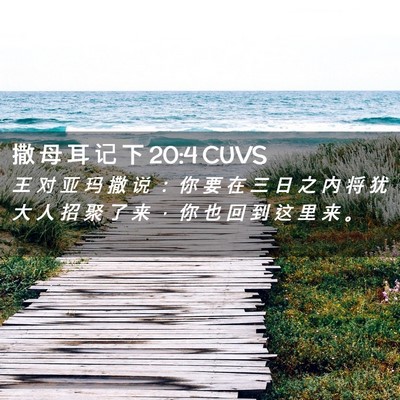 Picture 02 - 撒 母 耳 记 下 20:4 CUVS - 王 对 亚 玛 撒 说 ： 你 要 在 三 日 - Bible Verse Picture