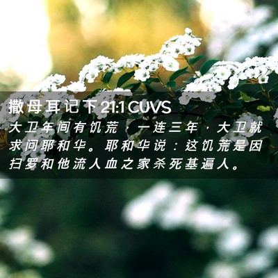 Picture 02 - 撒 母 耳 记 下 21:1 CUVS - 大 卫 年 间 有 饥 荒 ， 一 连 三 年 - Bible Verse Picture