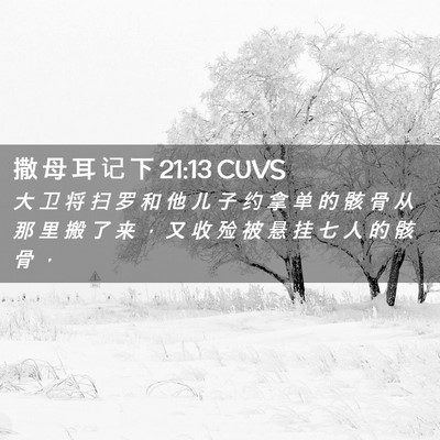 Picture 02 - 撒 母 耳 记 下 21:13 CUVS - 大 卫 将 扫 罗 和 他 儿 子 约 拿 单 - Bible Verse Picture