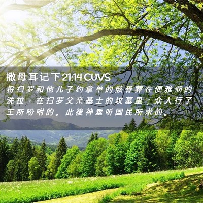 Picture 02 - 撒 母 耳 记 下 21:14 CUVS - 将 扫 罗 和 他 儿 子 约 拿 单 的 骸 - Bible Verse Picture