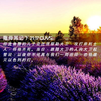 Picture 02 - 撒 母 耳 记 下 21:17 CUVS - 但 洗 鲁 雅 的 儿 子 亚 比 筛 帮 助 - Bible Verse Picture
