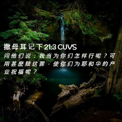 Picture 02 - 撒 母 耳 记 下 21:3 CUVS - 问 他 们 说 ： 我 当 为 你 们 怎 样 - Bible Verse Picture