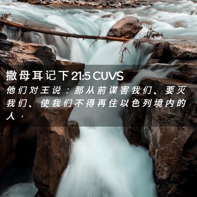 Picture 02 - 撒 母 耳 记 下 21:5 CUVS - 他 们 对 王 说 ： 那 从 前 谋 害 我 - Bible Verse Picture
