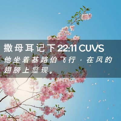 Picture 02 - 撒 母 耳 记 下 22:11 CUVS - 他 坐 着 基 路 伯 飞 行 ， 在 风 的 - Bible Verse Picture
