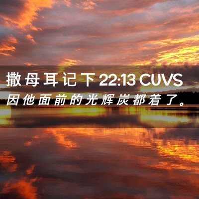 Picture 02 - 撒 母 耳 记 下 22:13 CUVS - 因 他 面 前 的 光 辉 炭 都 着 了 - Bible Verse Picture