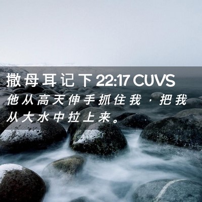 Picture 02 - 撒 母 耳 记 下 22:17 CUVS - 他 从 高 天 伸 手 抓 住 我 ， 把 我 - Bible Verse Picture