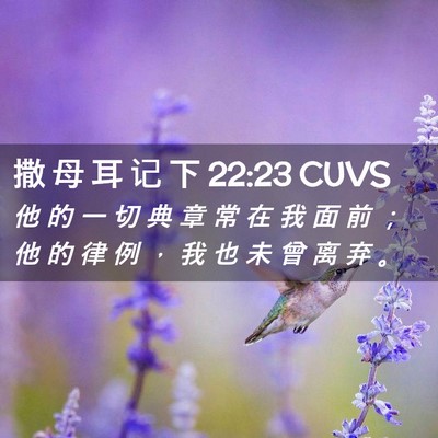 Picture 02 - 撒 母 耳 记 下 22:23 CUVS - 他 的 一 切 典 章 常 在 我 面 前 ； - Bible Verse Picture