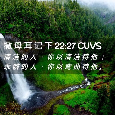 Picture 02 - 撒 母 耳 记 下 22:27 CUVS - 清 洁 的 人 ， 你 以 清 洁 待 他 ； - Bible Verse Picture
