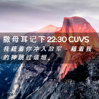 Picture 02 - 撒 母 耳 记 下 22:30 CUVS - 我 藉 着 你 冲 入 敌 军 ， 藉 着 我 - Bible Verse Picture