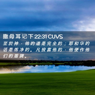 Picture 02 - 撒 母 耳 记 下 22:31 CUVS - 至 於 神 ， 他 的 道 是 完 全 的 ； - Bible Verse Picture