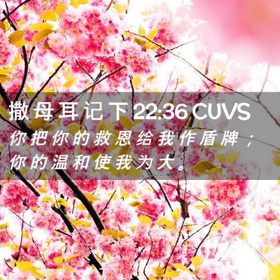 Picture 02 - 撒 母 耳 记 下 22:36 CUVS - 你 把 你 的 救 恩 给 我 作 盾 牌 ； - Bible Verse Picture