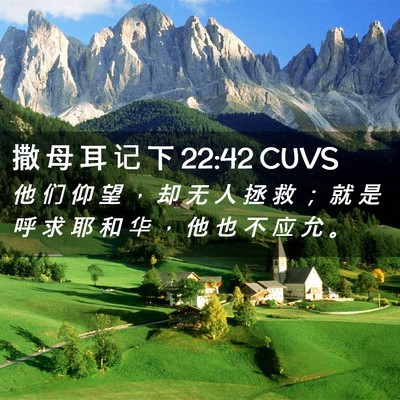 Picture 02 - 撒 母 耳 记 下 22:42 CUVS - 他 们 仰 望 ， 却 无 人 拯 救 ； 就 - Bible Verse Picture