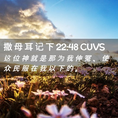 Picture 02 - 撒 母 耳 记 下 22:48 CUVS - 这 位 神 就 是 那 为 我 伸 冤 、 使 - Bible Verse Picture