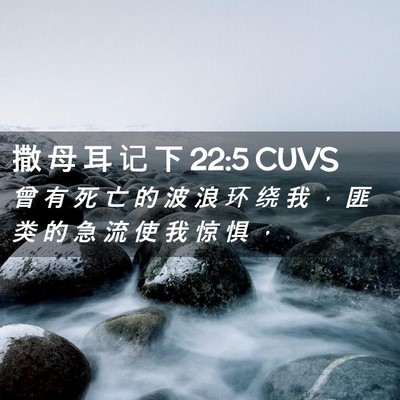 Picture 02 - 撒 母 耳 记 下 22:5 CUVS - 曾 有 死 亡 的 波 浪 环 绕 我 ， 匪 - Bible Verse Picture