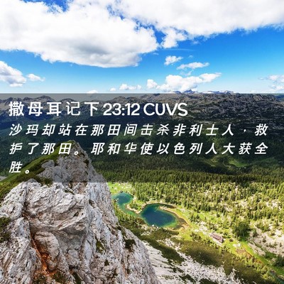 Picture 02 - 撒 母 耳 记 下 23:12 CUVS - 沙 玛 却 站 在 那 田 间 击 杀 非 利 - Bible Verse Picture