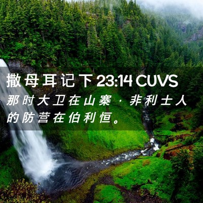 Picture 02 - 撒 母 耳 记 下 23:14 CUVS - 那 时 大 卫 在 山 寨 ， 非 利 士 人 - Bible Verse Picture