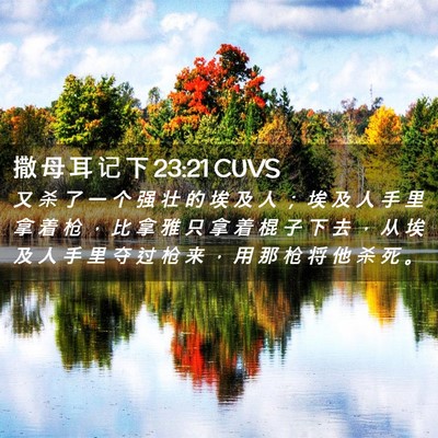 Picture 02 - 撒 母 耳 记 下 23:21 CUVS - 又 杀 了 一 个 强 壮 的 埃 及 人 ； - Bible Verse Picture