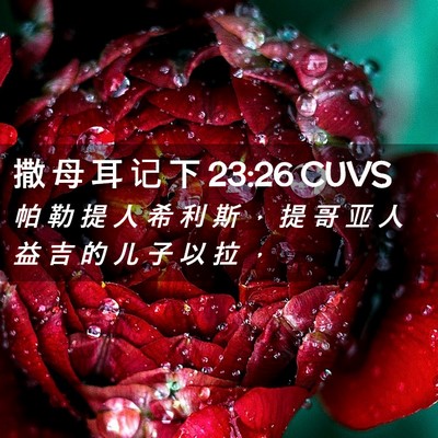 Picture 02 - 撒 母 耳 记 下 23:26 CUVS - 帕 勒 提 人 希 利 斯 ， 提 哥 亚 人 - Bible Verse Picture