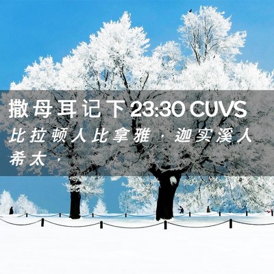 Picture 02 - 撒 母 耳 记 下 23:30 CUVS - 比 拉 顿 人 比 拿 雅 ， 迦 实 溪 人 - Bible Verse Picture