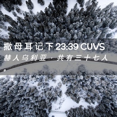 Picture 02 - 撒 母 耳 记 下 23:39 CUVS - 赫 人 乌 利 亚 ， 共 有 三 十 七 人 - Bible Verse Picture