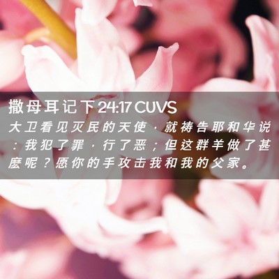 Picture 02 - 撒 母 耳 记 下 24:17 CUVS - 大 卫 看 见 灭 民 的 天 使 ， 就 祷 - Bible Verse Picture