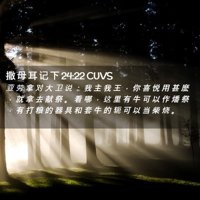 Picture 02 - 撒 母 耳 记 下 24:22 CUVS - 亚 劳 拿 对 大 卫 说 ： 我 主 我 王 - Bible Verse Picture