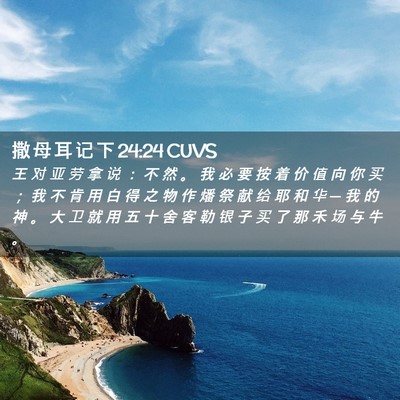 Picture 02 - 撒 母 耳 记 下 24:24 CUVS - 王 对 亚 劳 拿 说 ： 不 然 。 我 必 - Bible Verse Picture