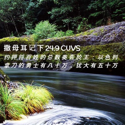 Picture 02 - 撒 母 耳 记 下 24:9 CUVS - 约 押 将 百 姓 的 总 数 奏 告 於 王 - Bible Verse Picture