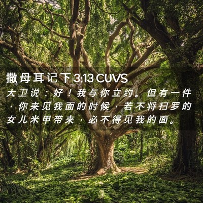 Picture 02 - 撒 母 耳 记 下 3:13 CUVS - 大 卫 说 ： 好 ！ 我 与 你 立 约 。 - Bible Verse Picture