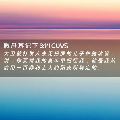 Picture 02 - 撒 母 耳 记 下 3:14 CUVS - 大 卫 就 打 发 人 去 见 扫 罗 的 儿 - Bible Verse Picture