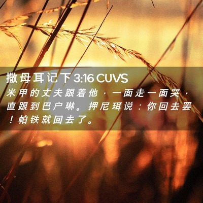 Picture 02 - 撒 母 耳 记 下 3:16 CUVS - 米 甲 的 丈 夫 跟 着 他 ， 一 面 走 - Bible Verse Picture