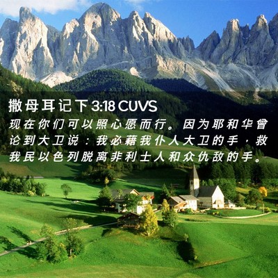 Picture 02 - 撒 母 耳 记 下 3:18 CUVS - 现 在 你 们 可 以 照 心 愿 而 行 。 - Bible Verse Picture