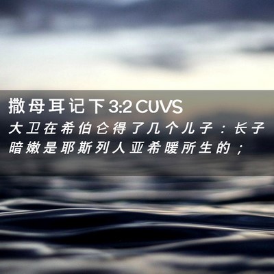 Picture 02 - 撒 母 耳 记 下 3:2 CUVS - 大 卫 在 希 伯 仑 得 了 几 个 儿 子 - Bible Verse Picture