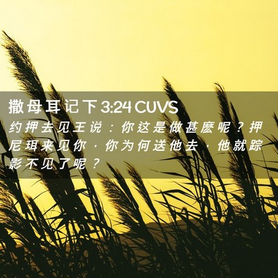 Picture 02 - 撒 母 耳 记 下 3:24 CUVS - 约 押 去 见 王 说 ： 你 这 是 做 甚 - Bible Verse Picture