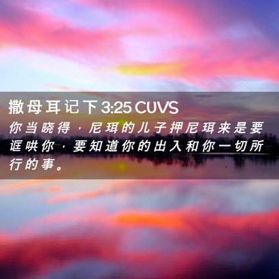 Picture 02 - 撒 母 耳 记 下 3:25 CUVS - 你 当 晓 得 ， 尼 珥 的 儿 子 押 尼 - Bible Verse Picture