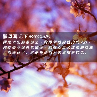 Picture 02 - 撒 母 耳 记 下 3:27 CUVS - 押 尼 珥 回 到 希 伯 仑 ， 约 押 领 - Bible Verse Picture