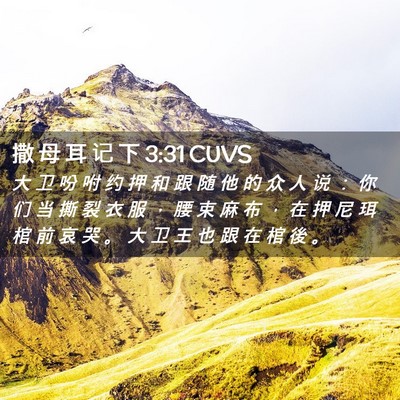 Picture 02 - 撒 母 耳 记 下 3:31 CUVS - 大 卫 吩 咐 约 押 和 跟 随 他 的 众 - Bible Verse Picture